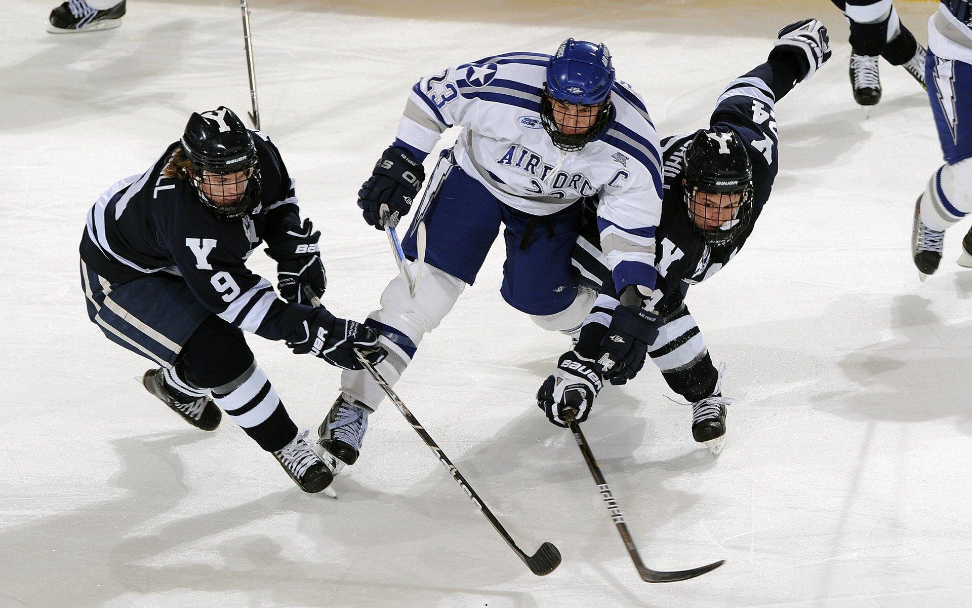 德甲联赛激战正酣，拜仁慕尼黑与勒沃库森上演巅峰对决|B体育
