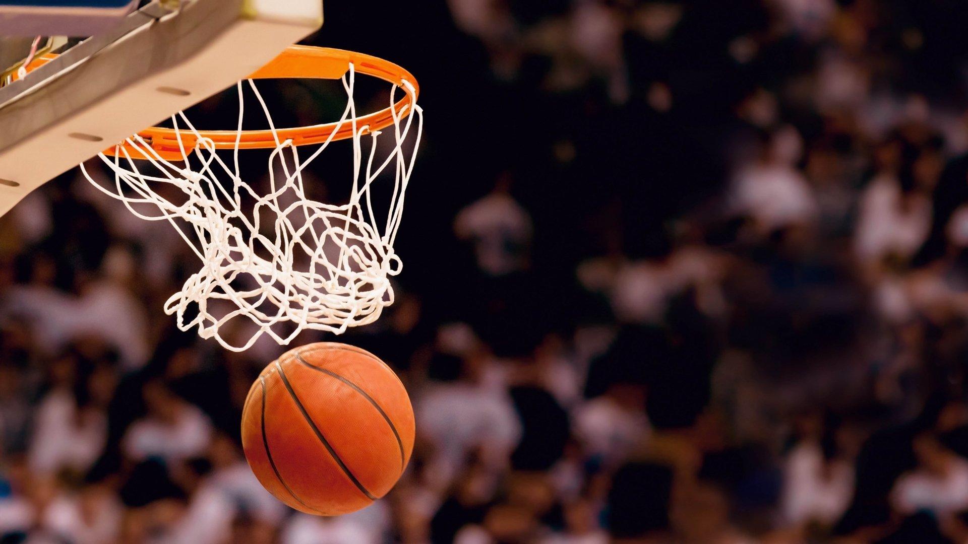 bsport体育：自由泳巅峰对决，世界纪录保持者再创佳绩，新星闪耀国际泳联锦标赛
