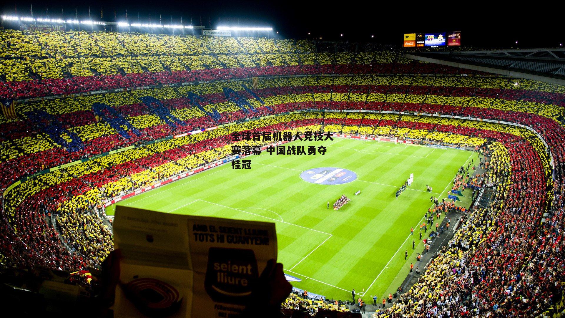 全球首届机器人竞技大赛落幕 中国战队勇夺桂冠_B体育下载