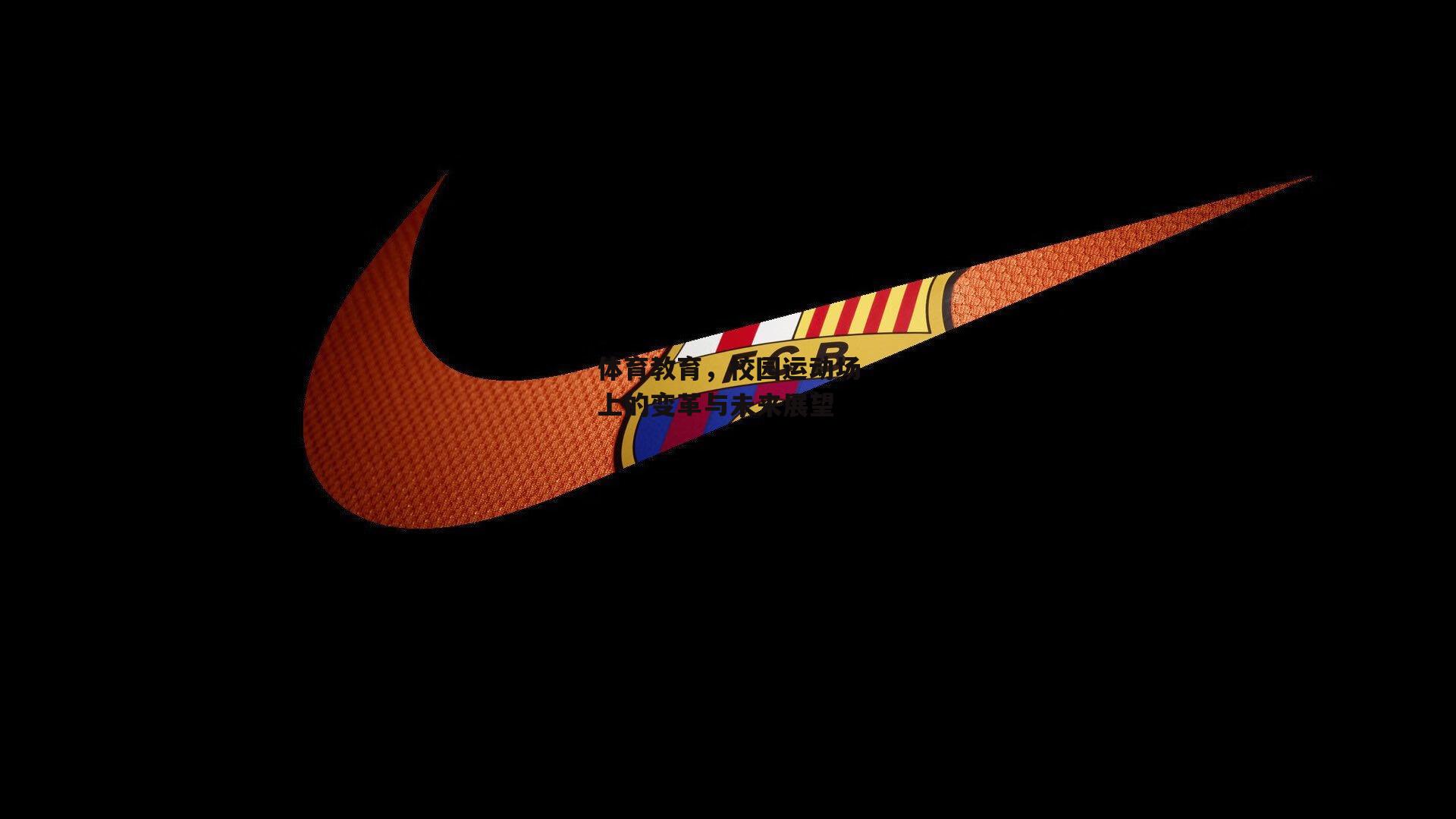 体育教育,校园运动场上的变革与未来展望